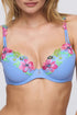 Marie Jo Odilly Push Up Bra Removable Pads